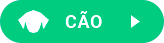 botao-cao